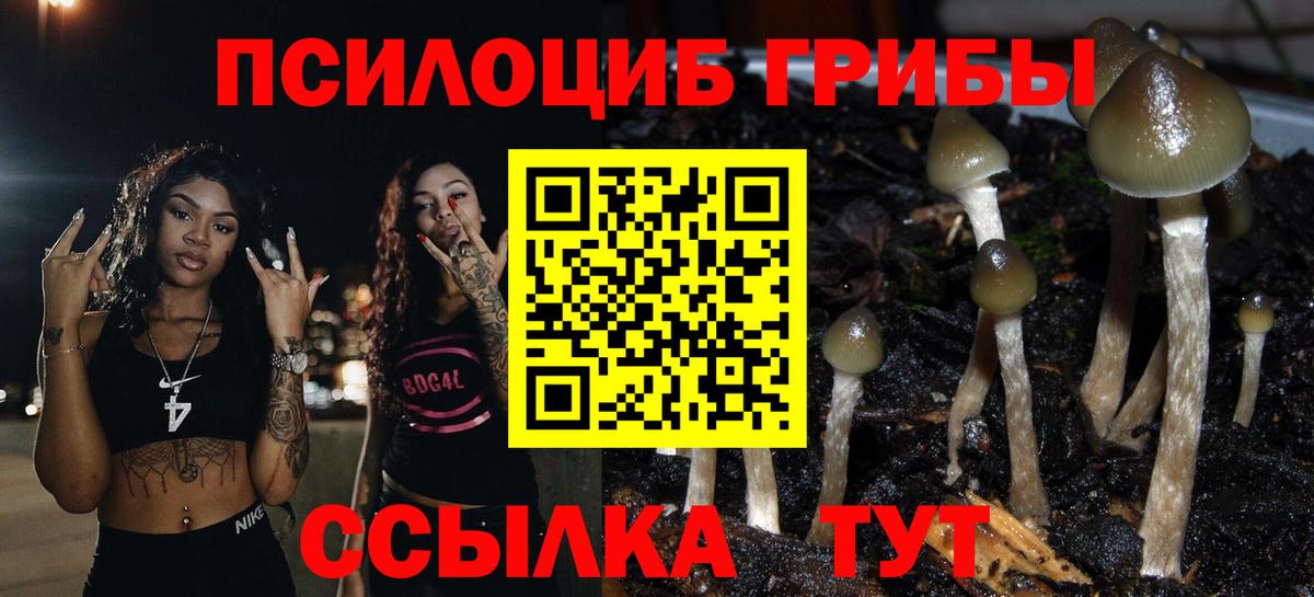 ГАШ  Вход с VPN  Меф МЯУ МЯУ  APVP СК кристаллы  МЕТ  Меф кристаллы  КЕТАМИН  Бошки Шишки  Цена  Лсд 25  Дмитров  Героин  МДМА 