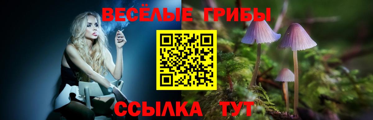Дмитров  Галлюциногенные грибы Magic Shrooms  Галлюциногенные грибы прущие грибы  Вход с VPN 